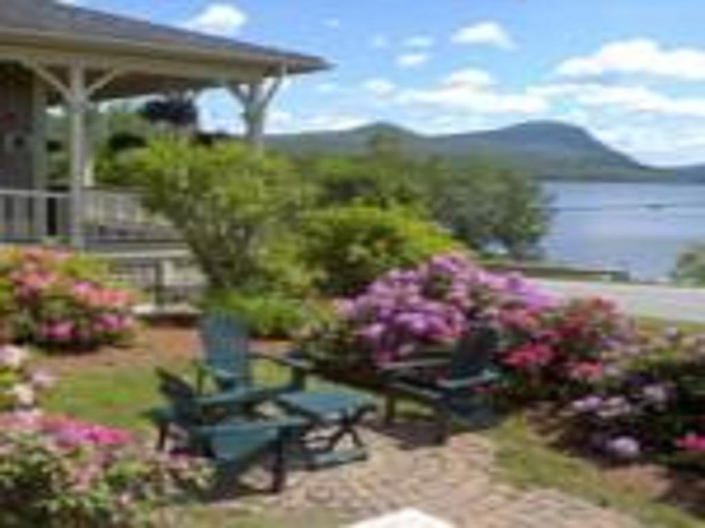 Willoughvale Inn Westmore Newport Eksteriør billede