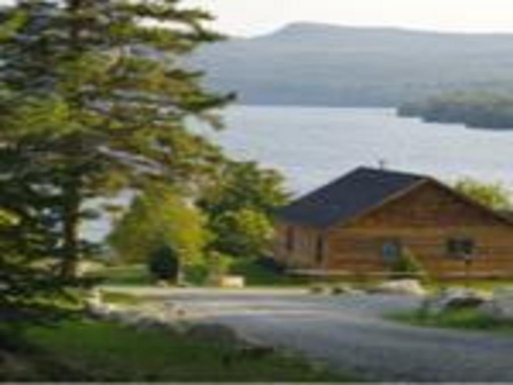 Willoughvale Inn Westmore Newport Eksteriør billede