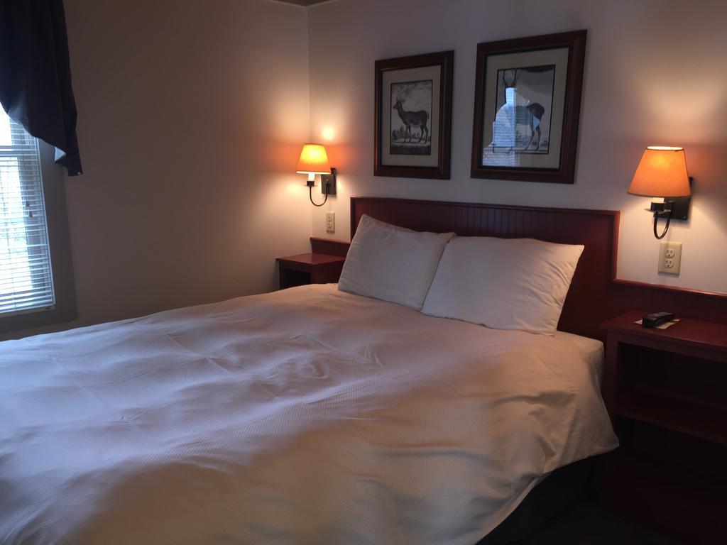 Willoughvale Inn Westmore Newport Værelse billede